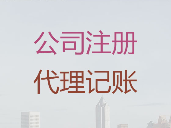 海南专业代理记账电话|代理合伙企业记账